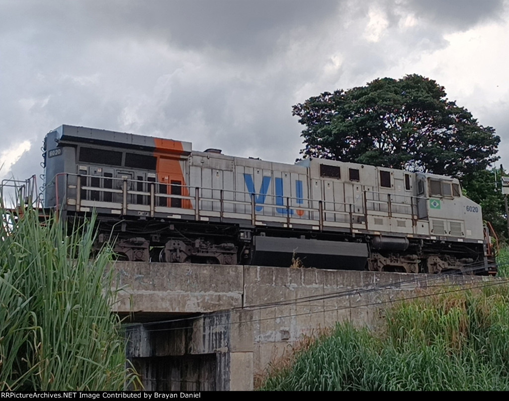 VLI 6020